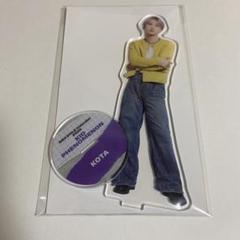 KID PHENOMENON 山本光汰 アクスタ