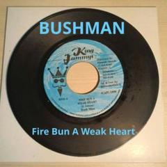 レゲエ　７インチ　BUSHMAN /Fire Bun A Weak Heart