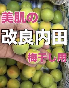 2025年最新】梅干し用梅 10kgの人気アイテム - メルカリ