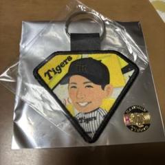 阪神タイガース ガラコロ 岩崎優