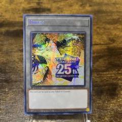 英語版 遊戯王 トークン 闇遊戯&海馬 エラーカード