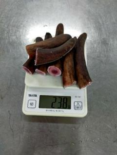 蝦夷鹿　袋角　鹿茸　762g エゾ鹿の袋角(鹿茸) （袋角 鹿茸）
