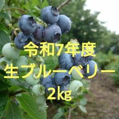 令和7年度生ブルーベリー★5㎏(送料込み) 令和7年度生ブルーベリー☆2㎏(送料込み) - メルカリ