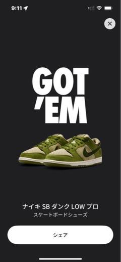 堀米悠斗✖︎NIKESB Dunk Low 27cm