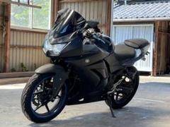 2025年最新】NINJA250 タンクの人気アイテム - メルカリ