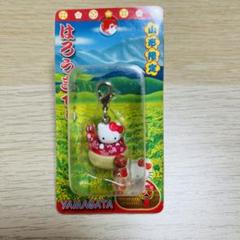 2025年最新】ハローキティ 山形の人気アイテム - メルカリ