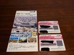 ANA株主優待券2枚+グループ優待券(冊子)1冊