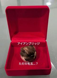 2025年最新】プラクルアン 虎の人気アイテム - メルカリ