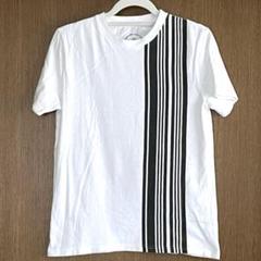 nano ユニバース Tシャツ Sサイズ オーガニックコットン 白