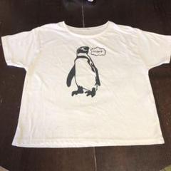 山本麻友香　ペンギンTシャツ ホワイト 山本麻友香ペンギンTシャツ ホワイト
