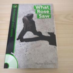 What Rose Saw - Pauline O'Carolan
