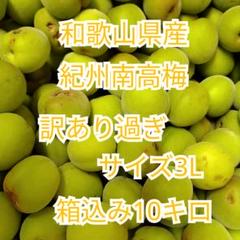 和歌山県産 紀州南高梅 サイズ3L 訳あり過ぎ 雹 箱込み10キロ