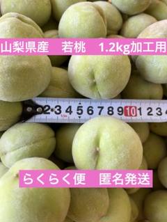 若桃加工用５キロ 59f17c9f674357e4a3cad93953f1c6