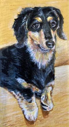 ダックスフンド 色鉛筆画 トールペイント作品 原画 犬の絵