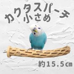 2025年最新】カクタスパーチの人気アイテム - メルカリ