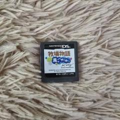ニンテンドーDS ソフト 牧場物語 風のバザール