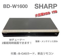 m41982818355_1.jpg?1751956979