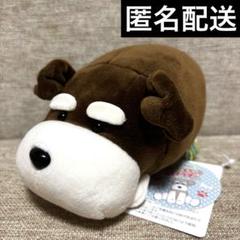 つめる！もちっこシュナウザー VMCセット つめる！もちっこシュナウザー VMCセット おもちゃ