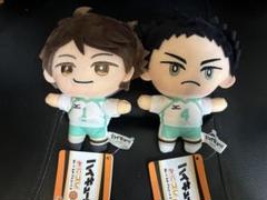 ハイキュー　みにコレ　ぬいぐるみマスコット　及川徹　岩泉一　2種セット