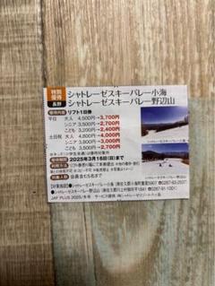シャトレーゼスキー場 リフト1日券引換券2枚+半額券1枚