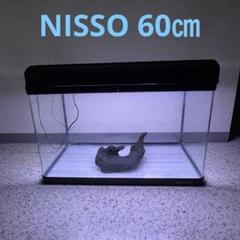 2025年最新】ニッソー 60cm ライト 水槽の人気アイテム - メルカリ