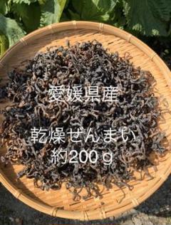 愛媛県産 乾燥ぜんまい 約200g