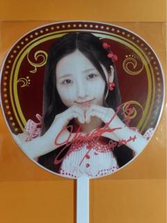 布袋百椛AKB48 春コンSPECIAL くじ直筆サイン入りうちわ
