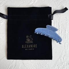 完売品 ALEXANDRE DE PARIS ブルーデニム バレッタ クリップ ALEXANDRE DE PARIS - 完売品 ALEXANDRE DE PARIS ブルーデニム