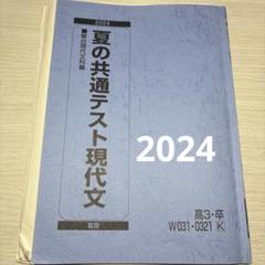 駿台2024最新版 化学ファイルアタック&無機・有機化学の総整理 未使用美品 駿台2024最新版 化学ファイルアタック&無機・有機化学の総整理