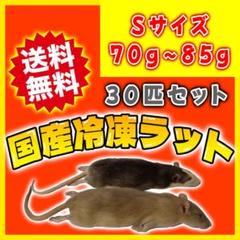 個包装 冷凍ラット 30匹 43g前後
