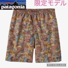 超希少！限定モデル！Patagonia パタゴニア　バギーズショーツ　XSサイズのサムネイル