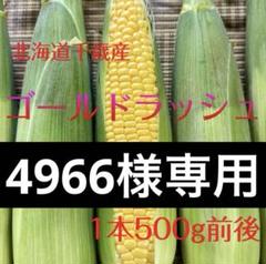 4966様専用】北海道産とうもろこし（ゴールドラッシュ）7本