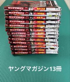 ヤングマガジン13冊【2025 No14〜27】のサムネイル