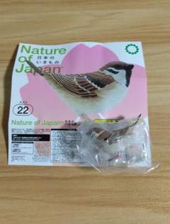 ネイチャーテクニカラー　日本のいきもの　スズメ　雀　すずめ　フィギュア　新品 61x4kpfxmjL._UF350,350_QL80_.jpg