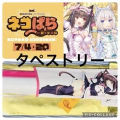 ネコぱら10周年紀念展 in 台湾 タペストリー A ショコラ - メルカリ