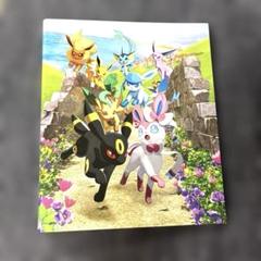 【未開封】コレクションファイル イーブイヒーローズ まとめ売り 未開封】コレクションファイル イーブイヒーローズ まとめ売り