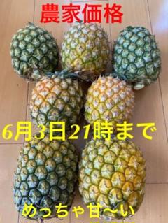 沖縄県石垣島産ゴールドバレル7個