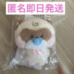 ジャンハオセット　ハニニ ZB1 Zhang Hao Zhanghao Hanini Line Friends Zeroni Sinsa