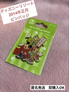 ディズニーストア 2005年 正月 ピンバッジ ピンズ 限定 希少