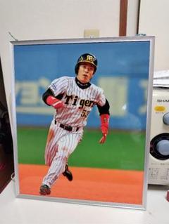 タイガース 53番赤星憲広選手 フレーム入り写真