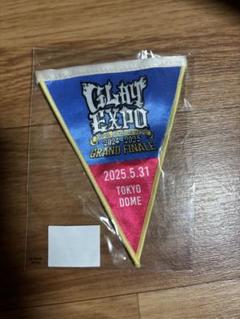 2025年最新】glay ガーランド 東京の人気アイテム - メルカリ
