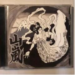 DVD 山嵐 未体験ゾーン TOUR'99 Amazon.co.jp: 未体験ゾーンTOUR'99 [DVD] : 山嵐, 山嵐: DVD