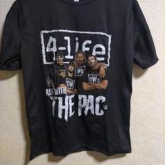 【29日限定】値下げ中 WWE　NWO　Tシャツ　L　wcw ハルクホーガン