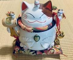 2025年最新】猫舎 道楽堂本舗の人気アイテム - メルカリ
