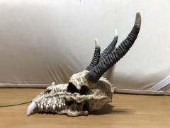 2025年最新】veronese 置物の人気アイテム - メルカリ