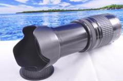 ☆ カシャの先に！Canon キヤノン 望遠レンズ 迫力の75-300mm #5