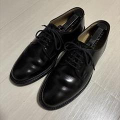 REGAL × GEOX リーガル W251 ジェオックス ストレートチップ
