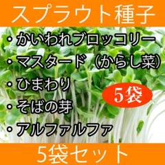 スプラウト種子まとめ買い5袋セット