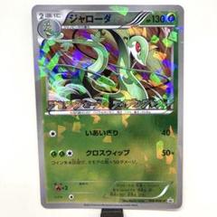【稀少】ポケモンカード ジャローダ PROMO 【極美品】 ジャローダ 商品一覧（ポケモンカード） – トレカ（TCG）通販