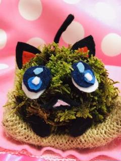 ぴえん猫の苔玉アート 〜あなた様のお共に〜